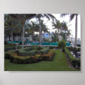 Riu Garden Poster (Vorne)
