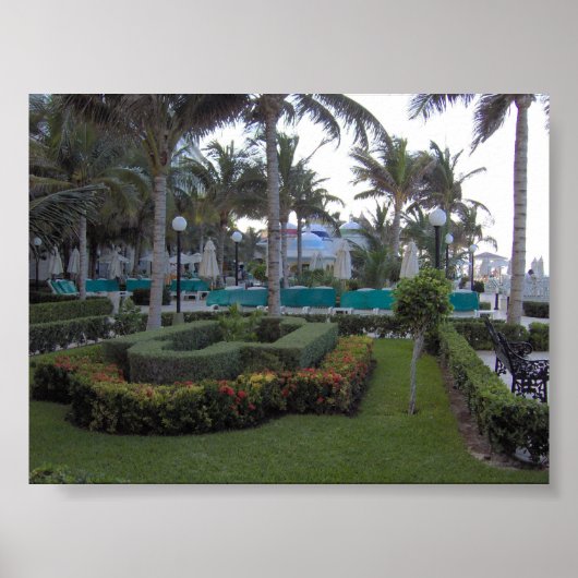Riu Garden Poster (Vorne)