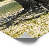 River Beach, Suwannee River, Florida Print Poster (Ecke)