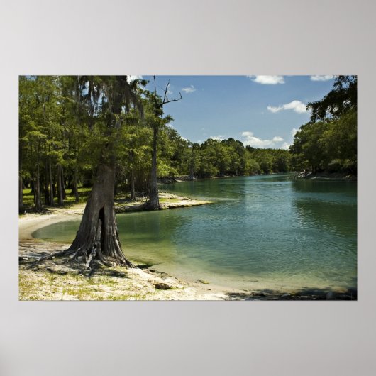 River Beach, Suwannee River, Florida Print Poster (Vorne)