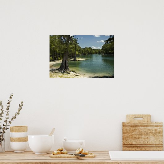 River Beach, Suwannee River, Florida Print Poster (Küche)
