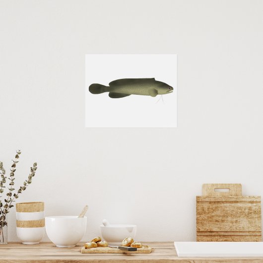 River Blackfish Print, Value Poster Paper (Matte) (Küche)