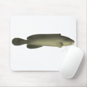 River Blackfish Print, Value Poster Paper (Matte) Mousepad (Mit Mouse)