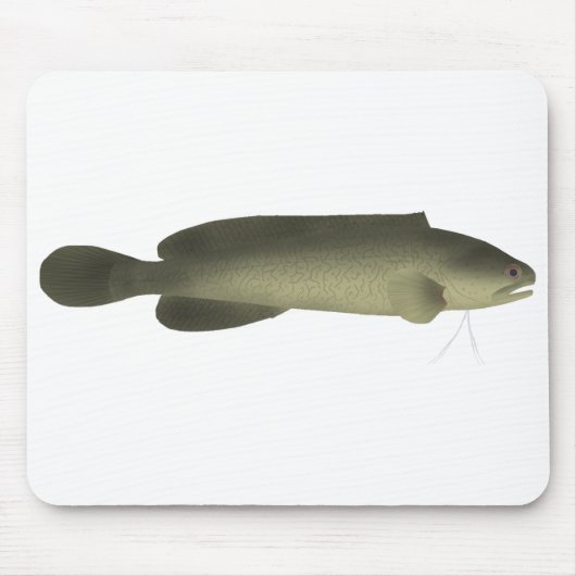 River Blackfish Print, Value Poster Paper (Matte) Mousepad (Vorne)