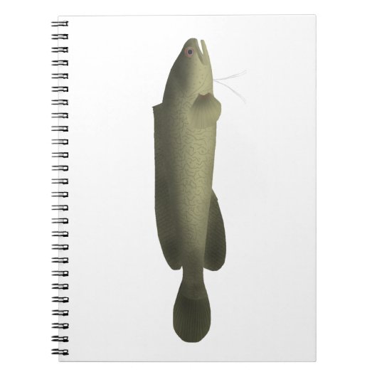 River Blackfish Print, Value Poster Paper (Matte) Notizblock (Vorderseite)