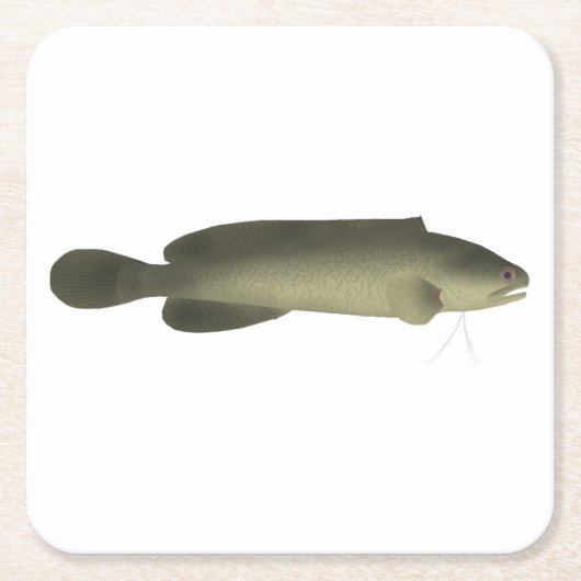 River Blackfish Print, Value Poster Paper (Matte) Rechteckiger Pappuntersetzer (Vorderseite)