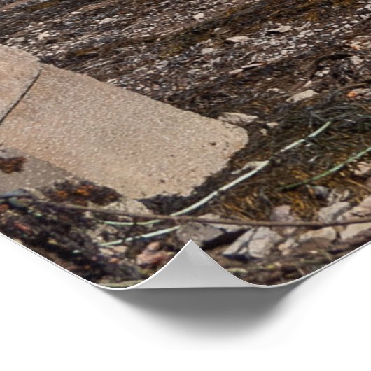 River Conwy Rail Bridge und Tower Poster (Ecke)