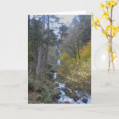 River Falls Greeting Card Karte (Gelbe Blume)