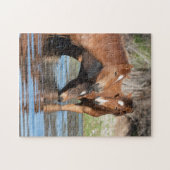 River Friends Puzzle (Horizontal)