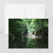 River in the forest croatia postkarte (Vorne/Hinten)