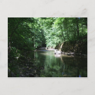River in the forest croatia postkarte