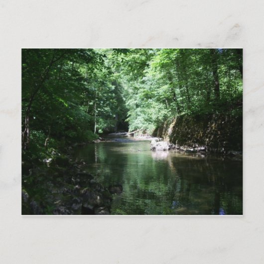 River in the forest croatia postkarte (Vorderseite)