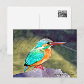 River Kingfisher Postkarte (Vorne/Hinten)