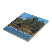 "River Murray's Fishermen: A Pelican Ansammlung" Fliese (Seite)