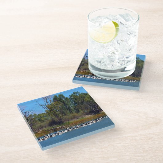 "River Murray's Fishermen: A Pelican Ansammlung" Glasuntersetzer (Schrägansicht)