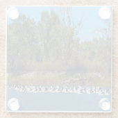 "River Murray's Fishermen: A Pelican Ansammlung" Glasuntersetzer (Rückseite)