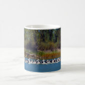 "River Murray's Fishermen: A Pelican Ansammlung" Kaffeetasse (Mittel)