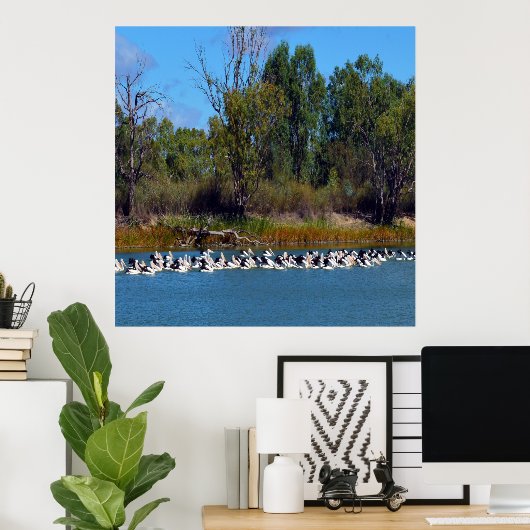 "River Murray's Fishermen: A Pelican Ansammlung" Poster (Heimbüro)