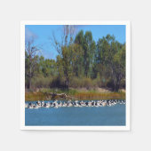 "River Murray's Fishermen: A Pelican Ansammlung" Serviette (Vorderseite)