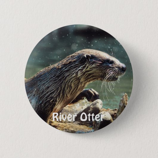 River Otter Animal-Lover's Wildlife Foto Button (Vorderseite)