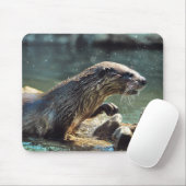 River Otter Animal-Lover's Wildlife Foto Mousepad (Mit Mouse)