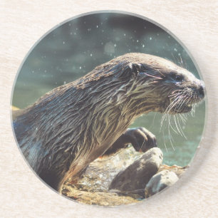 River Otter Animal-Lover's Wildlife Foto Sandstein Untersetzer