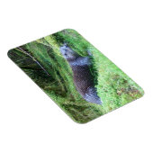River Otter Tranquil Waterside Animal Art Nature  Magnet (Rechte Seite)