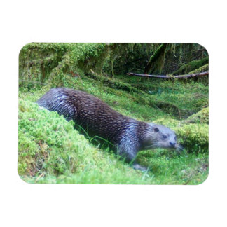 River Otter Tranquil Waterside Animal Art Nature Magnet