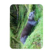 River Otter Tranquil Waterside Animal Art Nature  Magnet (Vertikal)