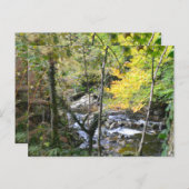 river postkarte (Vorne/Hinten)