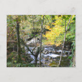 river postkarte (Vorderseite)