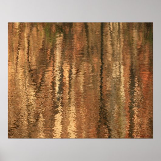 River Reflections 1 Poster (Vorne)