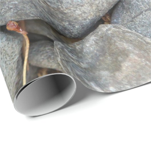 River Rocks Geschenkpapier (Rolleneckpunkt)