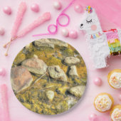 River Rocks Pappteller (Party)