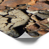 River Rocks Poster (Ecke)