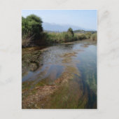 River Scene Postcard Postkarte (Vorderseite)
