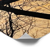 River Sunset Poster (Ecke)
