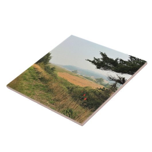 River Trail am Cape Blanco, Oregon Coast Fliese (Seite)