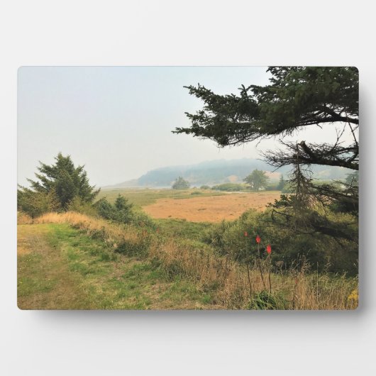 River Trail am Cape Blanco, Oregon Coast Fotoplatte (Vorderseite)