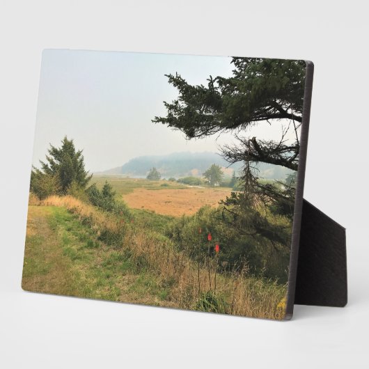 River Trail am Cape Blanco, Oregon Coast Fotoplatte (Seite)