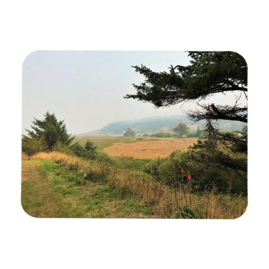 River Trail am Cape Blanco, Oregon Coast Magnet (Horizontal)