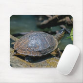 River Turtle at Tortuguero - Costa Rica Mousepad (Mit Mouse)