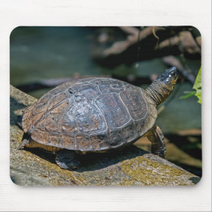 River Turtle at Tortuguero - Costa Rica Mousepad