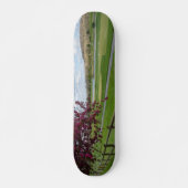Rivercut in der Frühjahrskateboard Skateboard (Vorne)