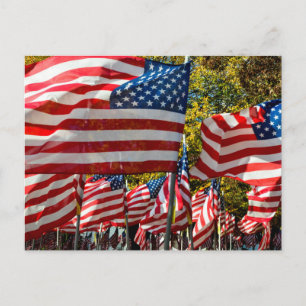 Riverdale, New York, USA. Weinland Postkarte