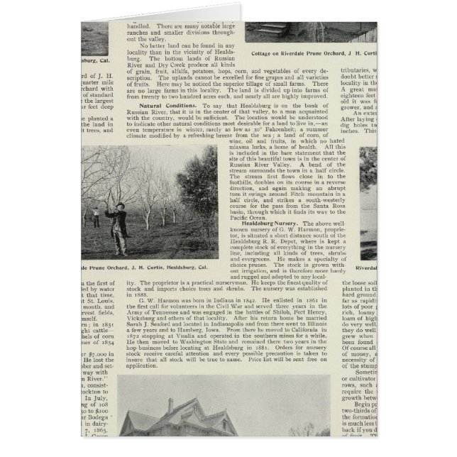 Riverdale Prune Orchard, Kalifornien (Vorne)