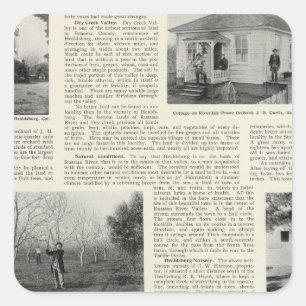 Riverdale Prune Orchard, Kalifornien Quadratischer Aufkleber