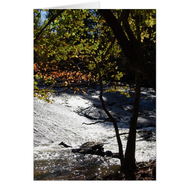 Riverside Glitzern (Vorne)