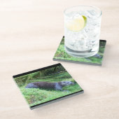 Riverside Otter Peaceful Water Animal Scene Nature Glasuntersetzer (Schrägansicht)