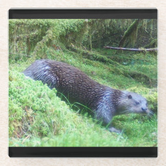 Riverside Otter Peaceful Water Animal Scene Nature Glasuntersetzer
